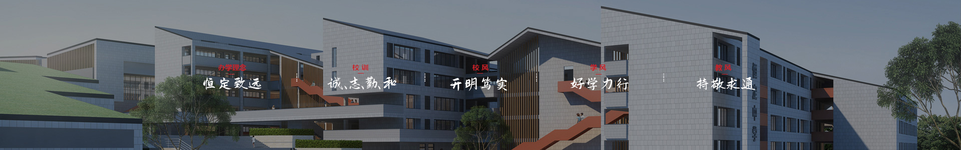 杏彩网投
