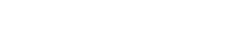 杏彩网投